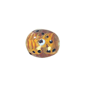 Lampworked Glass Beads Handmade 12275