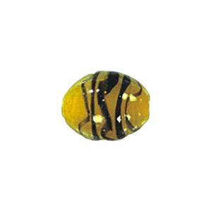 Lampworked Glass Beads Handmade 12554