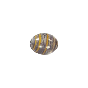 Lampworked Glass Beads Handmade 12691