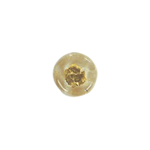 Golden Metallic finish Pressed Glass Beads 14088