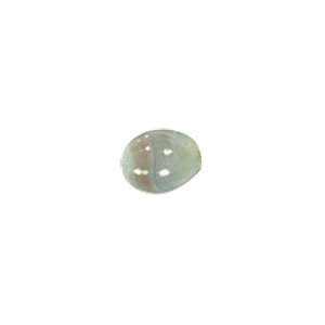 Glass spacer Ovals 14134
