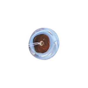 Designer Lampworked Glass Beads Handmade 14286