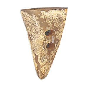 Horn Claw Button and Pendants 14592