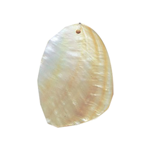 MOP Shell Pendants 14662