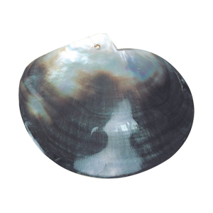 MOP Shell Pendants 14674