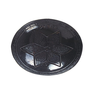 Horn Claw Button and Pendants 14886