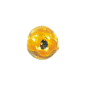Lampworked Glass Beads Handmade 13055