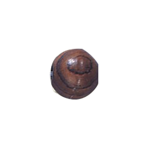 Dyed Round Wood Beads 13118