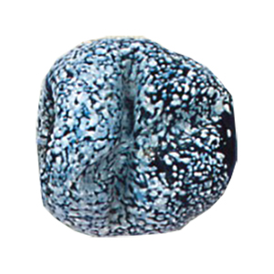 Printed and Striped large Furnace Glass Beads 15002