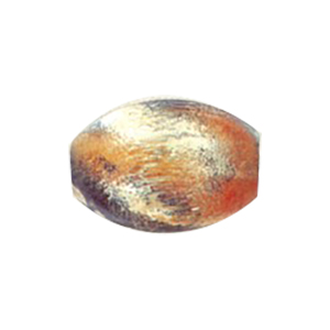 Dyed Oval Wood Beads 13167