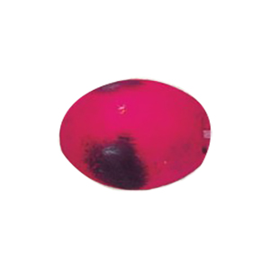 Dyed Oval Wood Beads 13171