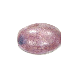 Dyed Oval Wood Beads 13174