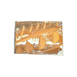 Dyed Tube Wood Beads 13226