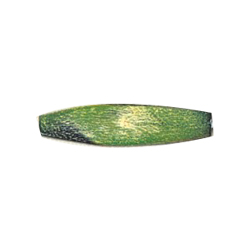 Dyed Rectangle Wood Beads 13266