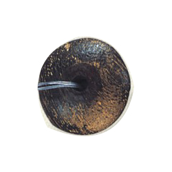 Dyed Disc Wood Beads 13283