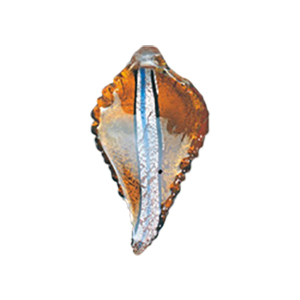 Silver foiled Glass Pendants 15537