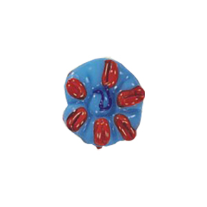 Designer Lampworked Glass Beads Handmade 13751