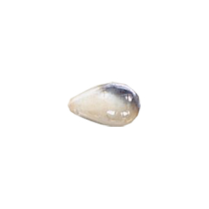 Iridescent Metallic finish Pressed Glass Beads 13794