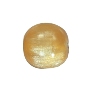 Resin Beads 15618