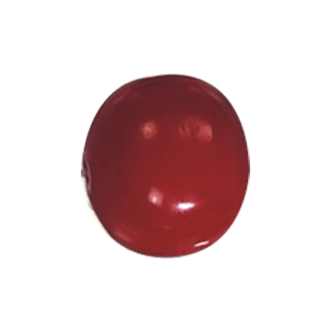 Resin Beads 15621