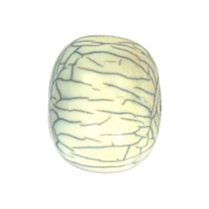 Resin Beads 15634