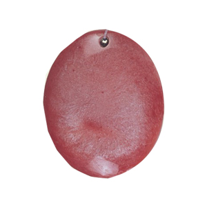 Resin casted Pendants 15645