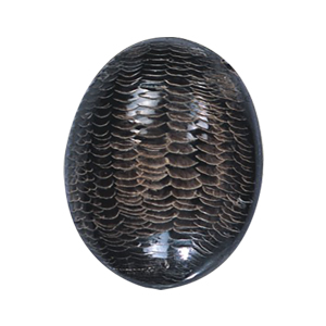 Horn carved Pendants 15687