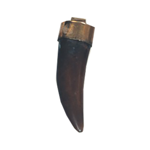 Resin Claw Pendants 15707