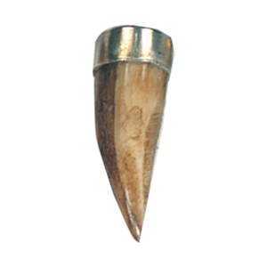 Resin Claw Pendants 15711