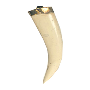 Resin Claw Pendants 15718