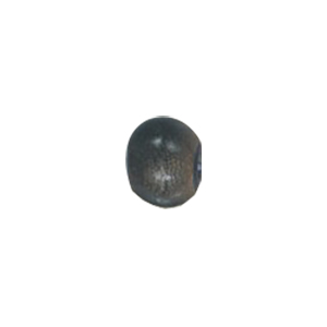 Natural Horn Beads 15783