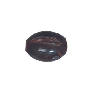 Natural Horn Beads 15827