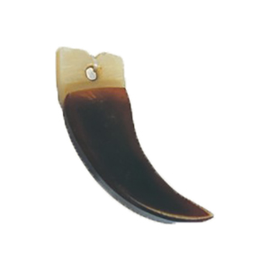 Horn Claw and Pendants 16369