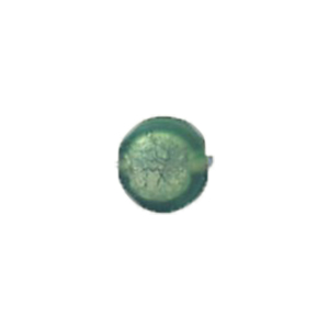 Silver foiled Glass Cabochons frosted 16820