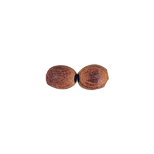Plain Wood Beads 9561